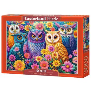 Пъзел Castorland Среща на цветната сова - 3000 части