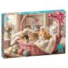 Пъзел Cherry Pazzi Кошница, пълна с любов - 300 части